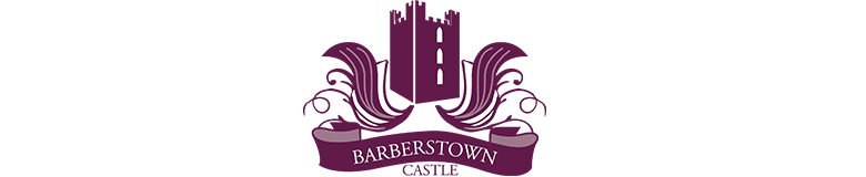 
Barberstown Castle
   in Straffan