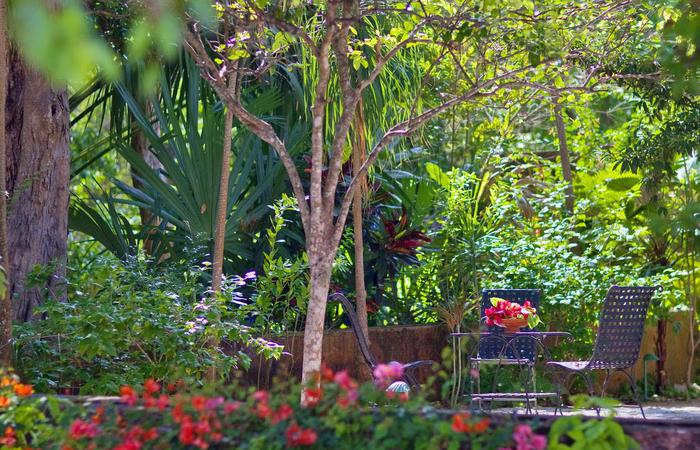 Most Magnificent Gardens featuring Hacienda Santa Rosa, a Luxury Collection Resort